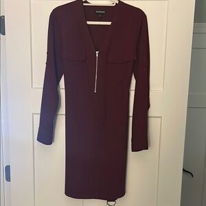 Express Women's Burgundy Dress